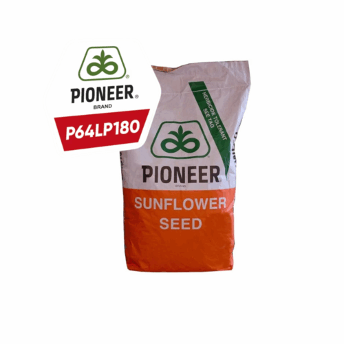 Seminte de Floarea Soarelui PIONEER P64LP180, Clearfield Plus, - Sac 150.000 seminte