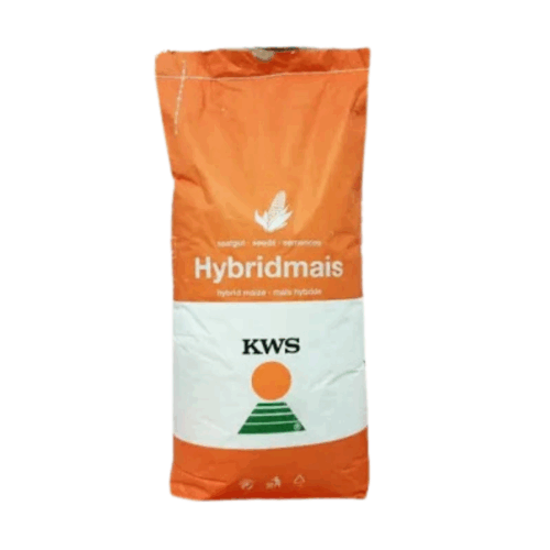 Samanta Porumb KWS LAURO, FAO 300 - Sac 50.000 boabe