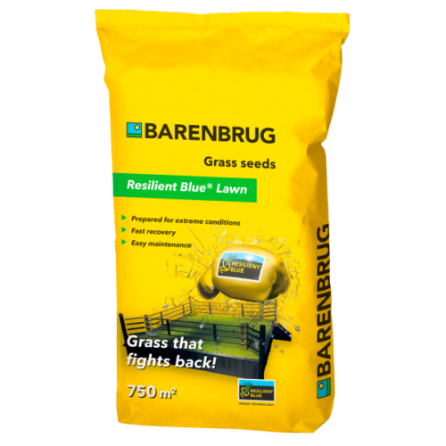Seminte gazon Resilient Blue Lawn